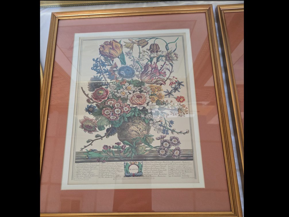 Flower prints, 2