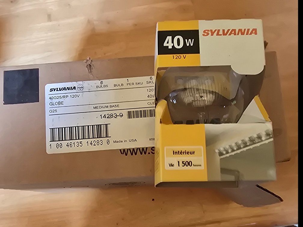 13 boxes of 40 watt globe bulbs