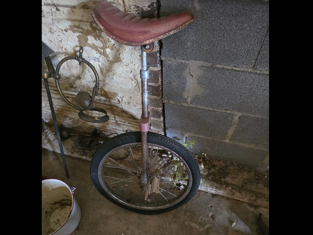 Unicycle