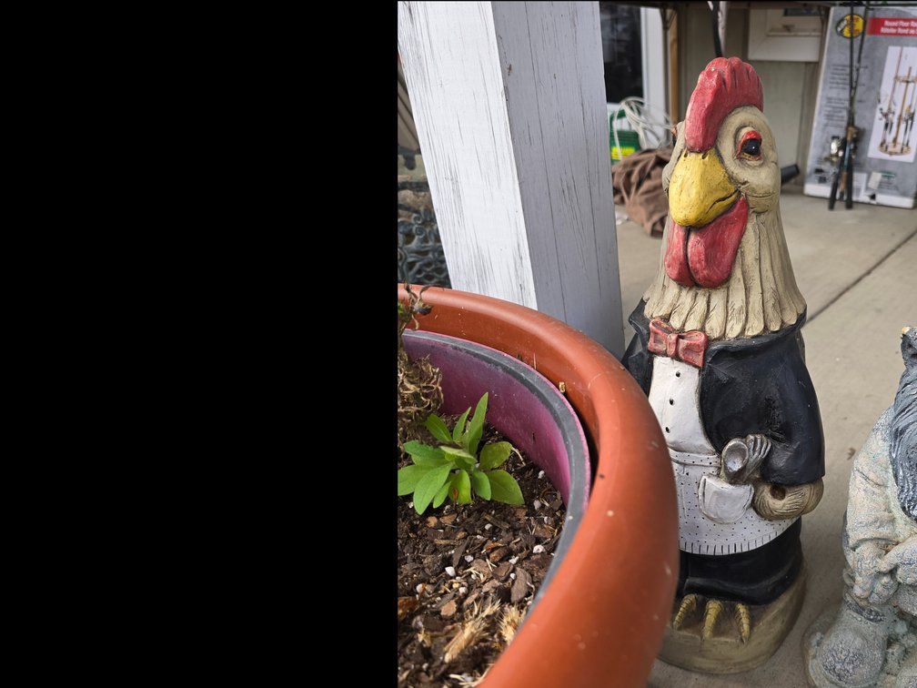Kitchen rooster