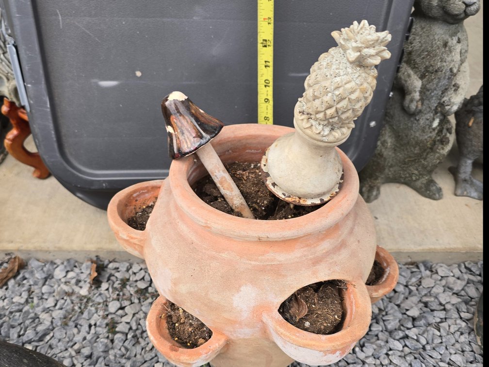 Strawberry pot and two mushrooms