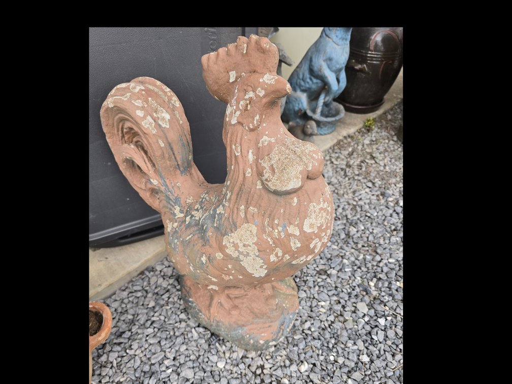 concrete rooster