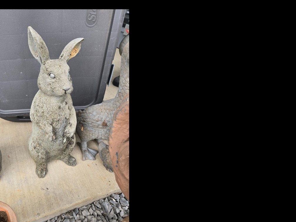 Lg. Porch or yard rabbit 