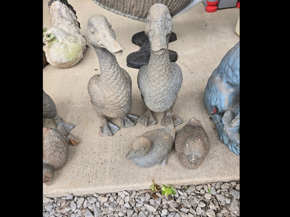 Pair ducks and ducklings