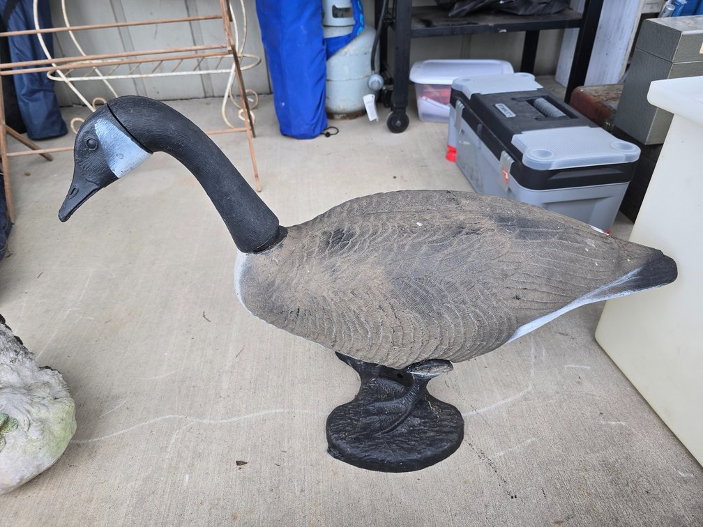 Lg. Plastic duck decoy