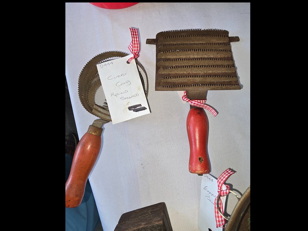 Pair of curry combs