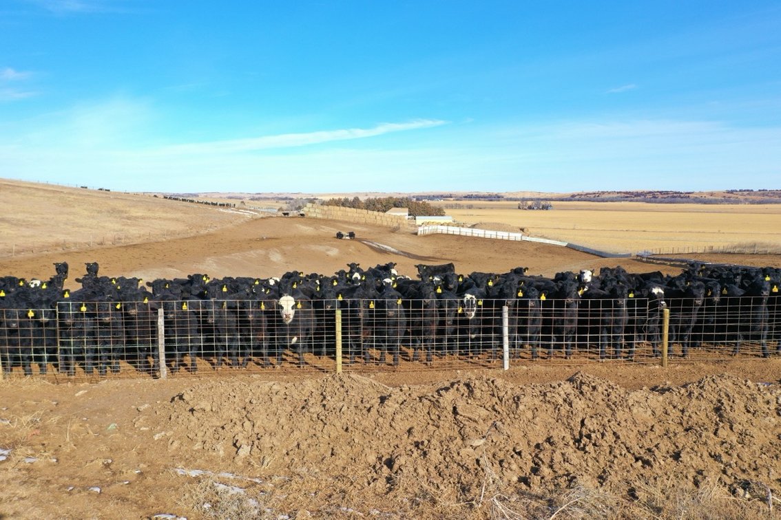 560 Acres, more or less - The Beck Ranch - Custer County, NE