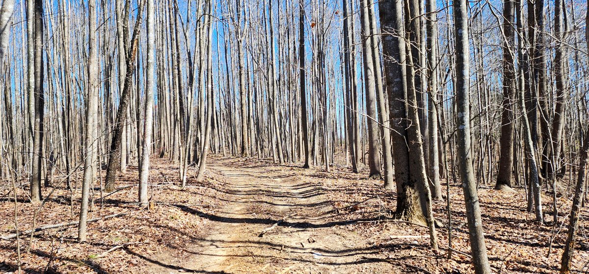 Image for 99 Acres in Henry County, VA