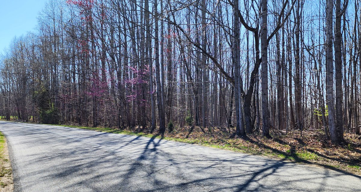 Image for 99 Acres in Henry County, VA
