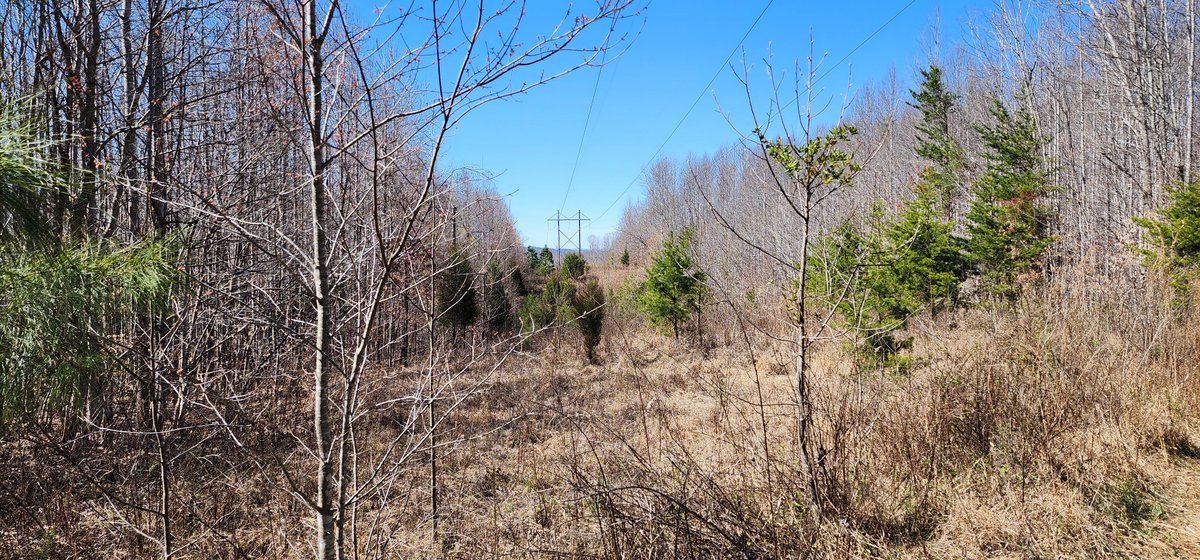 Image for 99 Acres in Henry County, VA
