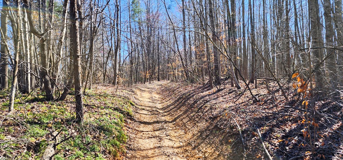 Image for 99 Acres in Henry County, VA