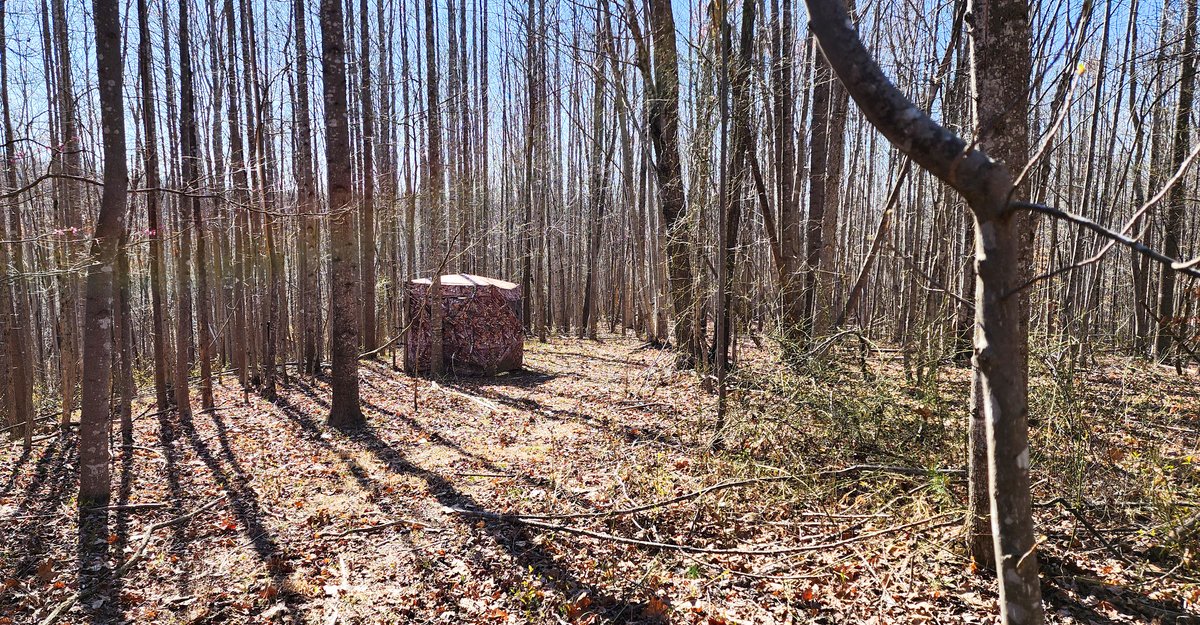 Image for 99 Acres in Henry County, VA