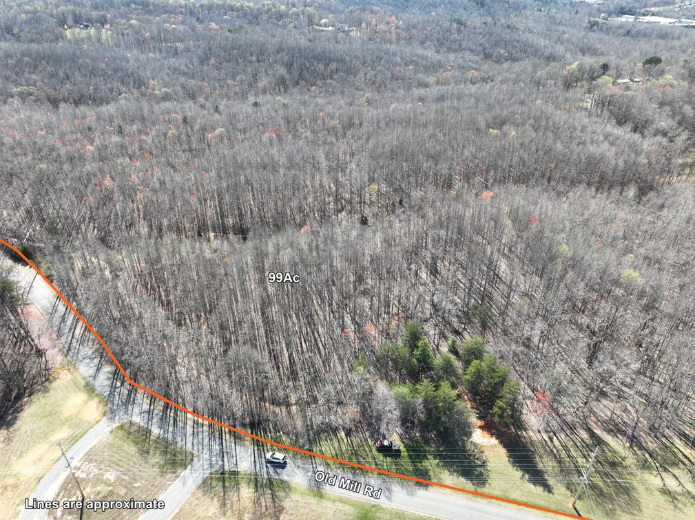 Image for 99 Acres in Henry County, VA