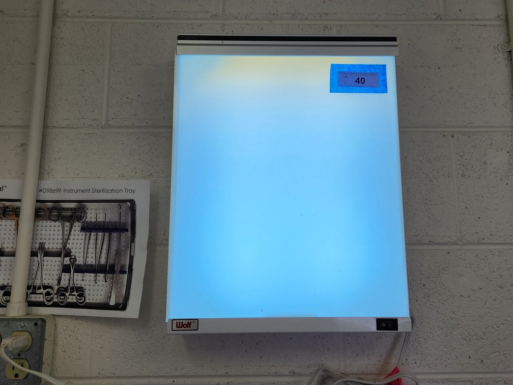 Set of 2 xray boards