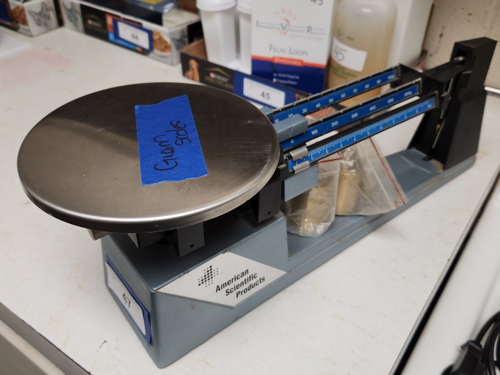 Gram scale & Graduated cylinders