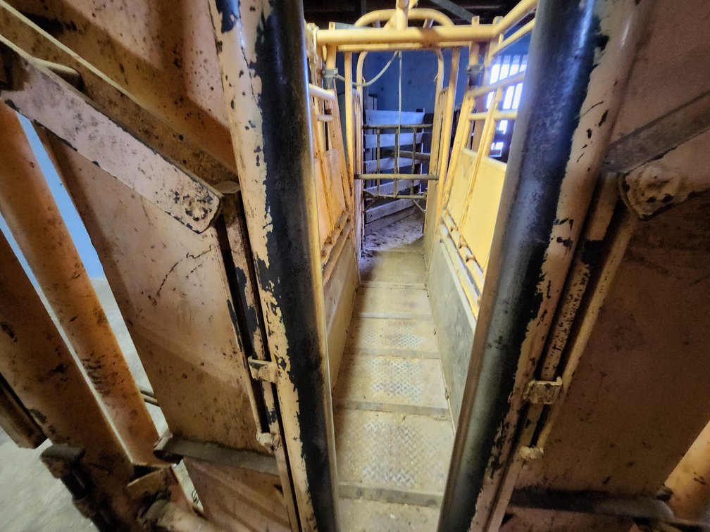 Cattle Chute: For-Most 450 with headgate and palpation cage
