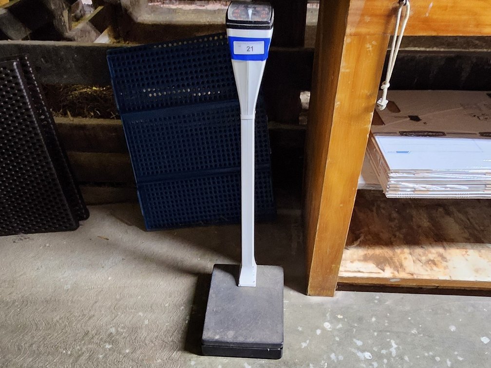 Standing scale 