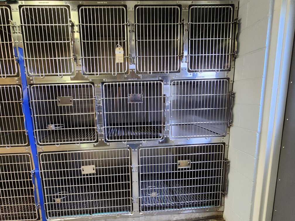Shor-line kennel bank of 9