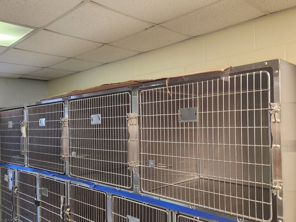 Kennel - Shore-line KCMO bank of 4- large 