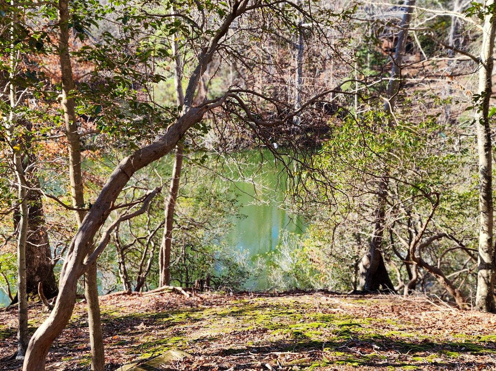 Image for 10 Acres Williamsburg