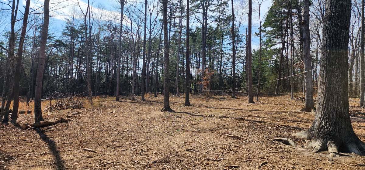 Image for 10 Acres on Button Creek in Rustburg