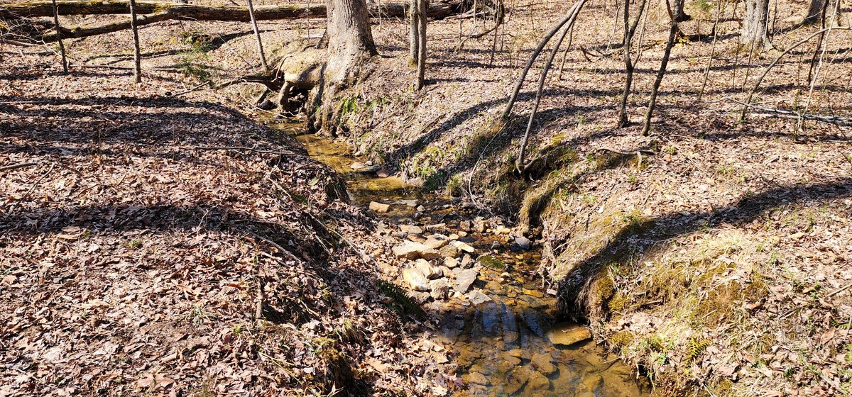 Image for 10 Acres on Button Creek in Rustburg