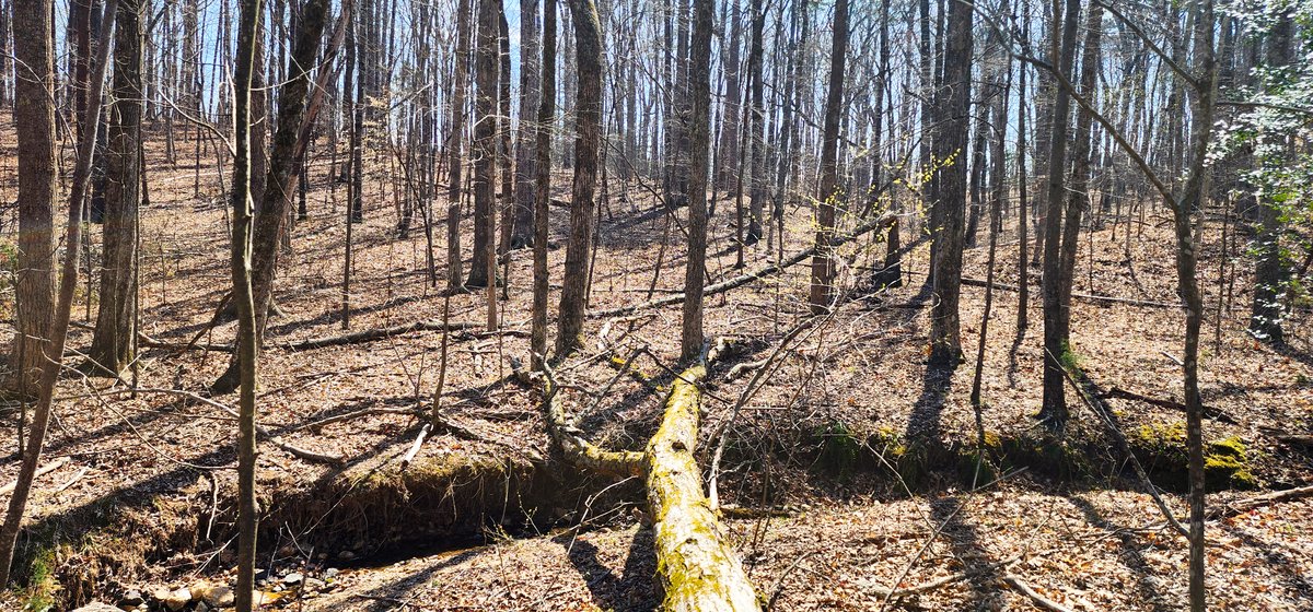 Image for 10 Acres on Button Creek in Rustburg