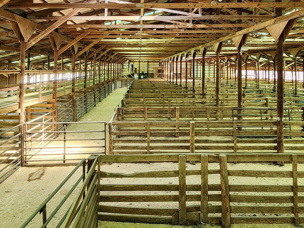 Image for Virginia Carolina Livestock Market: 33,424 sq.ft. on 9.7 Acres
