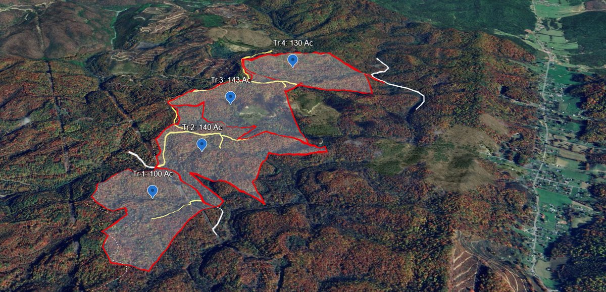 Grouping Tracts 1-4: 513 Acres