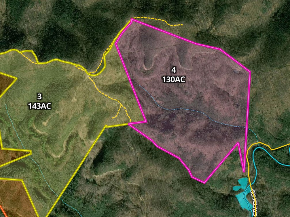 Tr.4: 130 Acres. Bidding is PER ACRE