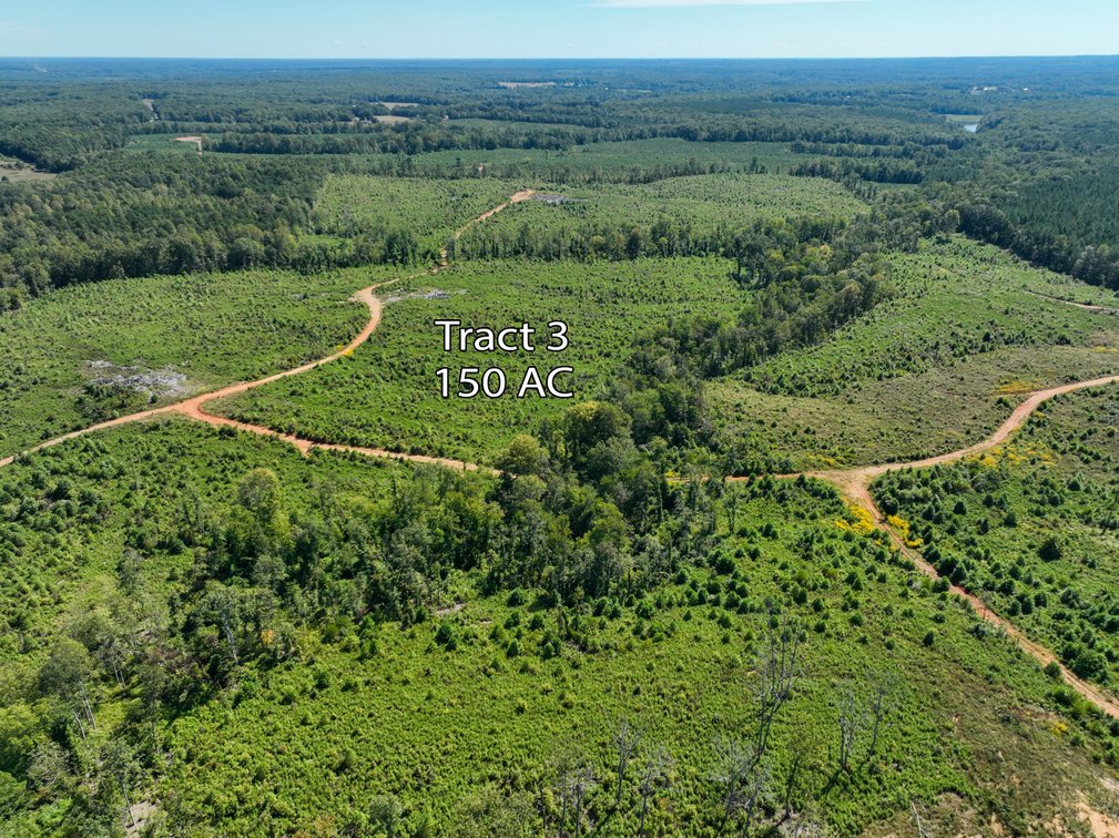 Tr.3: 150 Acres. Bidding is PER ACRE