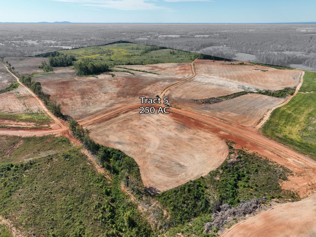Tr.5: 250 Acres. Bidding is PER ACRE