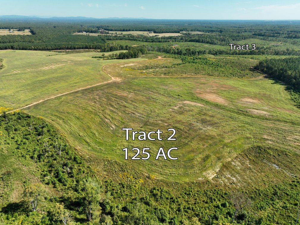 Tr.2: 125 Acres. Bidding is PER ACRE