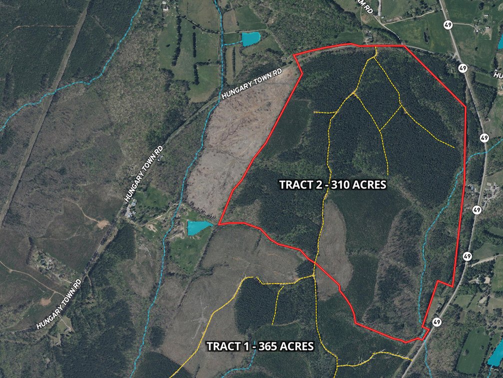 Tr.2: +/-310 acres on Hungary Town Rd. Bidding is PER ACRE.