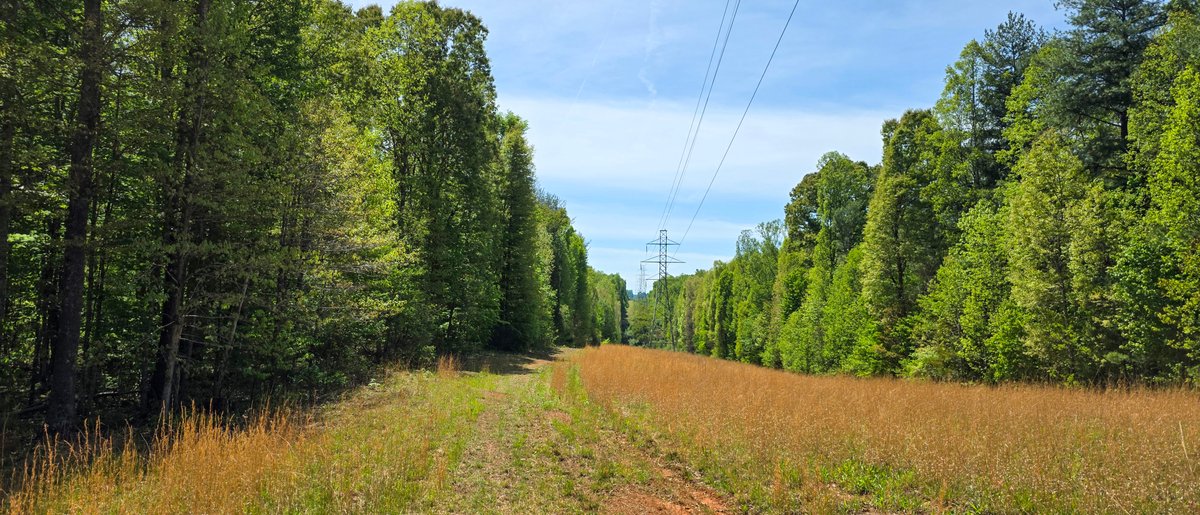 Tract 3: +/- 147 Acres - bidding is PER ACRE