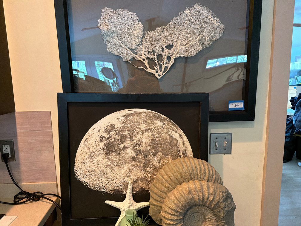 Nature Decor