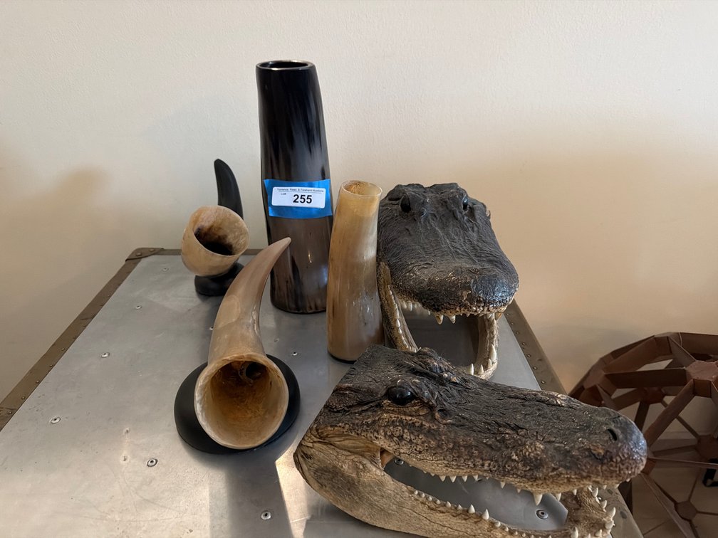 SAFARI Decor