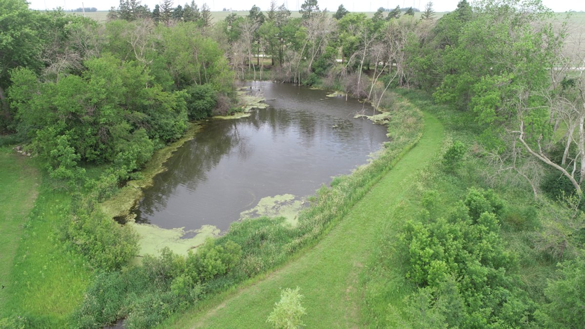 Image for Peterson, IA Acreage For Sale!