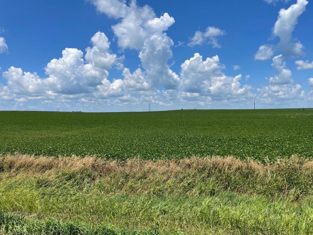 Image for Sac County Farmland Auction!