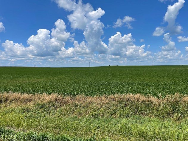 Image for Sac County Farmland Auction!