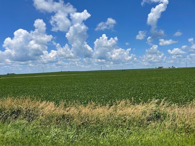 Image for Sac County Farmland Auction!