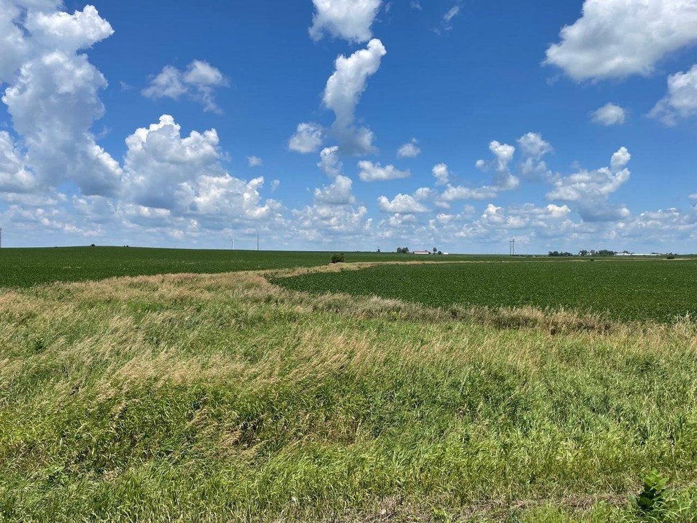Image for Sac County Farmland Auction!