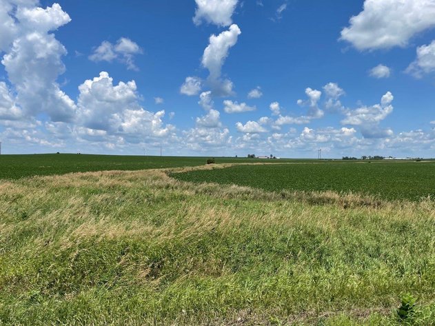 Image for Sac County Farmland Auction!