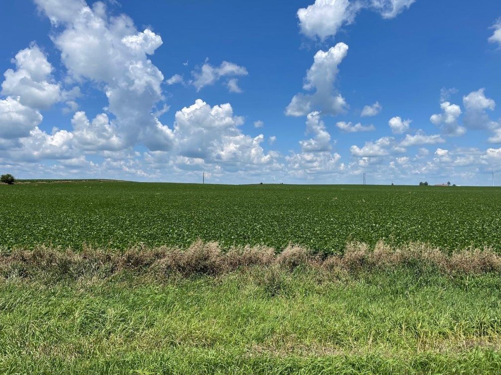 Image for Sac County Farmland Auction!