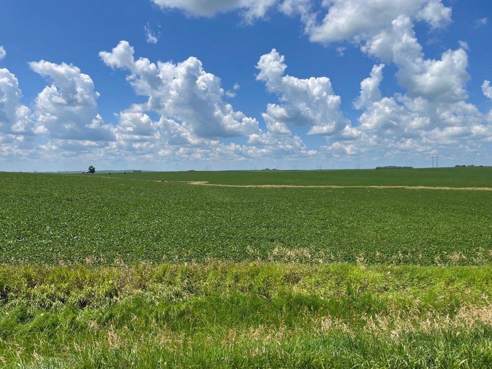 Image for Sac County Farmland Auction!