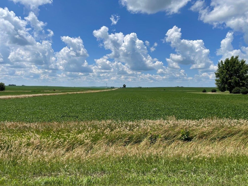 Image for Sac County Farmland Auction!