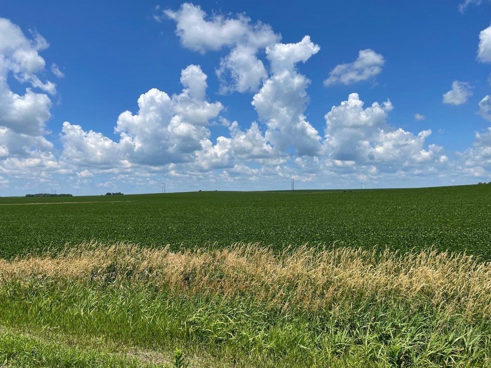 Image for Sac County Farmland Auction!