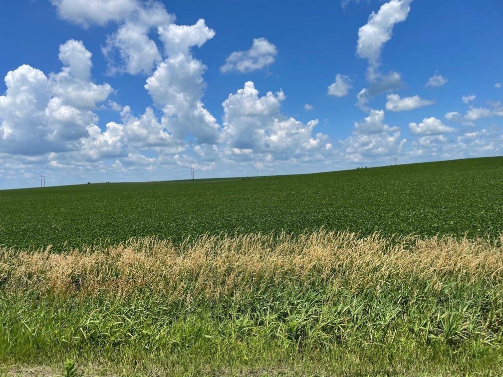 Image for Sac County Farmland Auction!