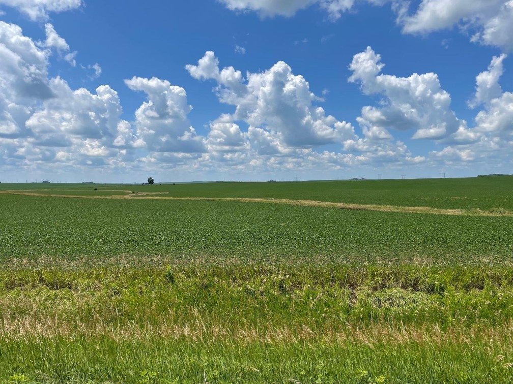 Image for Sac County Farmland Auction!