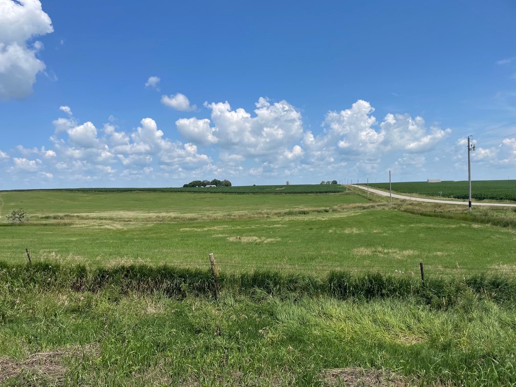 Image for Calhoun County Farmland Auction!